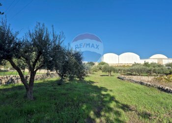 Giardino - Casa indipendente via Saitta
 
5, Modica - foto 19