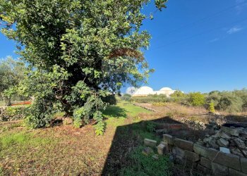 Giardino - Casa indipendente via Saitta
 
5, Modica - foto 20