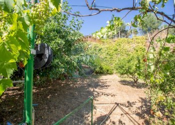 Giardino - Casa semi indipendente Viale Regina Margherita
 
74, Villamagna - foto 17