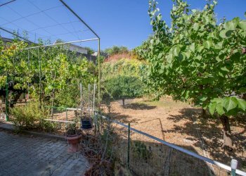 Giardino - Casa semi indipendente Viale Regina Margherita
 
74, Villamagna - foto 20