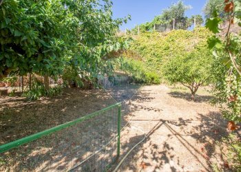 Giardino - Casa semi indipendente Viale Regina Margherita
 
74, Villamagna - foto 21