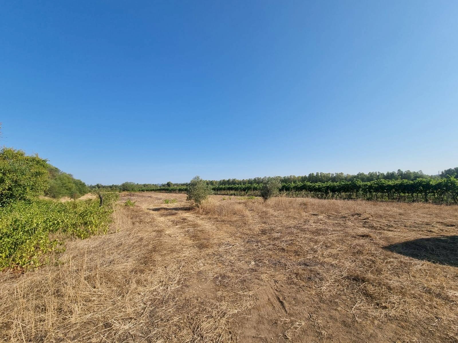 Foto 3 - Agricultural land Località Is Murronis, Masainas - photo 3