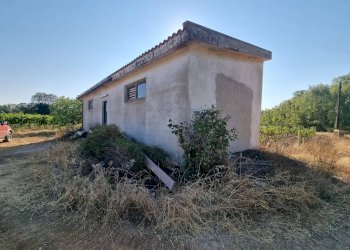 Foto 6 - Terreno agricolo Località Is Murronis, Masainas - foto 6