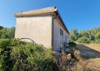 Foto 7 - Terreno agricolo Località Is Murronis, Masainas - foto 7