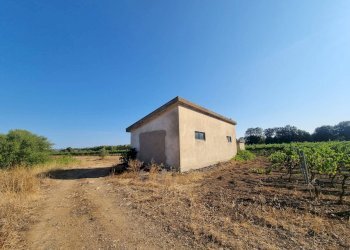 Foto 8 - Terreno agricolo Località Is Murronis, Masainas - foto 8