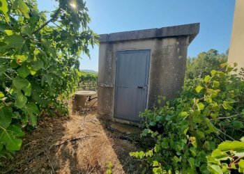 Foto 9 - Terreno agricolo Località Is Murronis, Masainas - foto 9