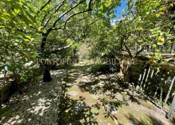 Giardino - Villa via Sage, Rapallo - foto 15