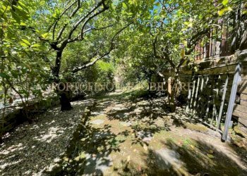 Giardino - Villa via Sage, Rapallo - foto 16