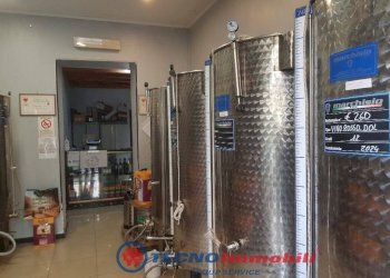 Interno non residenziale - Shop via Borgaro, Torino (neighborhood Madonna Campagna) - photo 3