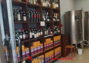Interno non residenziale - Shop via Borgaro, Torino (neighborhood Madonna Campagna) - photo 5