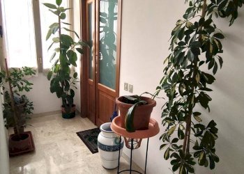 Foto 7 - Quadrilocale Amelia - foto 7