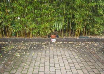 Quadrilocale via Vincenzo Bellini, Signa - foto 34