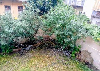 Giardino - One-room apartment via San Secondo, 30, Torino - photo 33