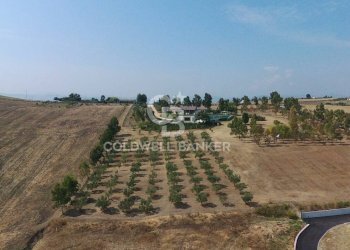 Foto 13 - Villa Contrada Montebello, Montenero di Bisaccia - foto 13