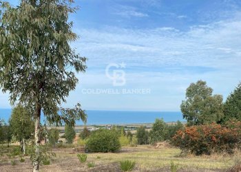 Foto 50 - Villa Contrada Montebello, Montenero di Bisaccia - foto 50