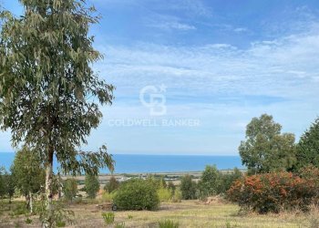 Foto 53 - Villa Contrada Montebello, Montenero di Bisaccia - foto 53