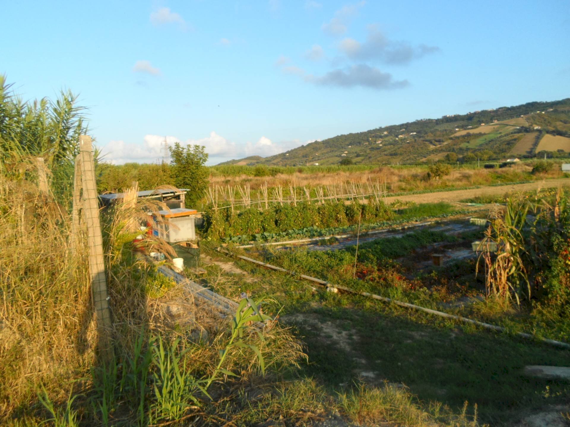 Foto 1 - Building land Via Dell'industria, Monteprandone - photo 1