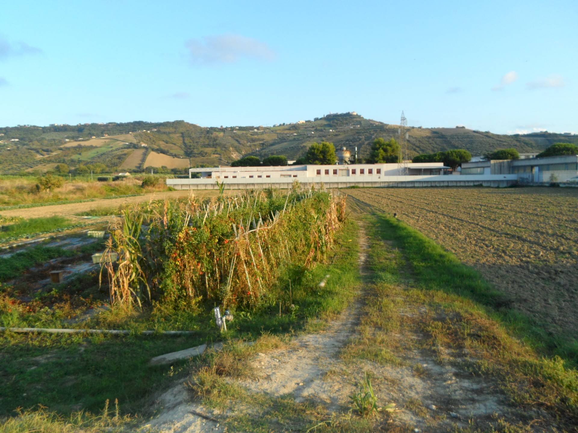 Foto 2 - Building land Via Dell'industria, Monteprandone - photo 2