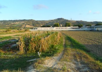 Foto 2 - Terreno edificabile Via Dell'industria, Monteprandone - foto 2