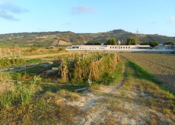 Foto 4 - Terreno edificabile Via Dell'industria, Monteprandone - foto 4