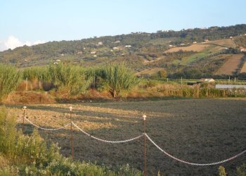 Foto 6 - Terreno edificabile Via Dell'industria, Monteprandone - foto 6