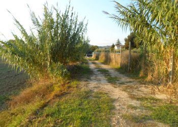 Foto 7 - Terreno edificabile Via Dell'industria, Monteprandone - foto 7