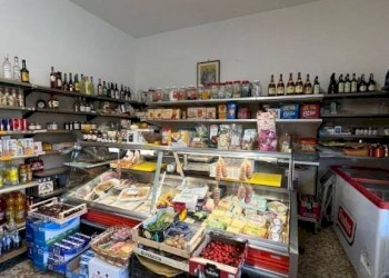 Shop via Giuseppe Malan, 20, Luserna San Giovanni - photo 4