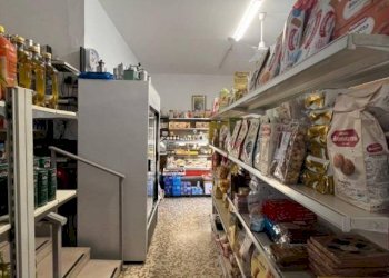 Shop via Giuseppe Malan, 20, Luserna San Giovanni - photo 8