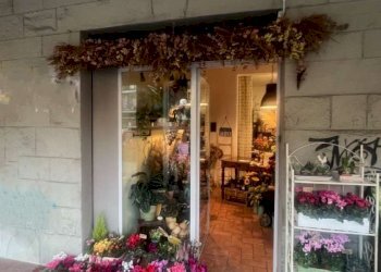 vetrina - Negozio via Porrettana, Casalecchio di Reno - foto 2