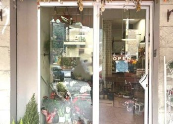 vetrina - Negozio via Porrettana, Casalecchio di Reno - foto 3