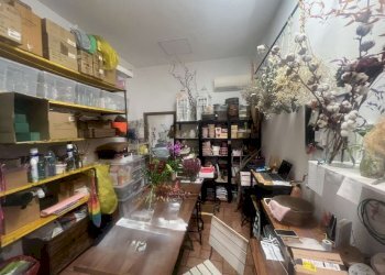 negozio - Negozio via Porrettana, Casalecchio di Reno - foto 10