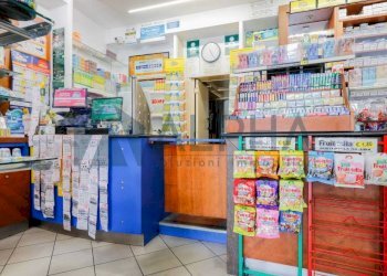 Interno non residenziale - Bar - Tabacchi - Ricevitoria viale Regina Margherita, Rimini - foto 2