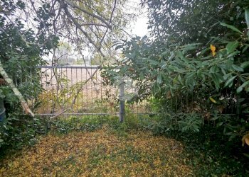 Rustico Via viola II, Gatteo - foto 4