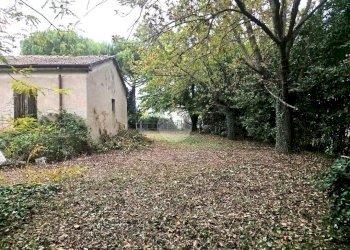 Rustico Via viola II, Gatteo - foto 6