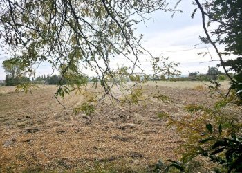 Rustico Via viola II, Gatteo - foto 12