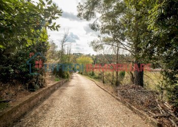 Appartamento Roma - foto 18