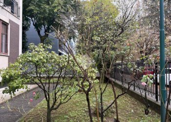 Trilocale Via San Faustino, Milano (zona Ortica) - foto 40