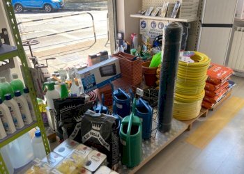 Attività Commerciale torino via venaria, Torino - foto 7