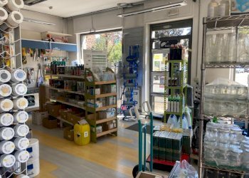 Attività Commerciale torino via venaria, Torino - foto 8