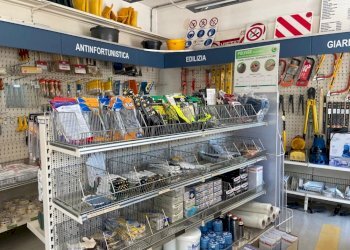 Attività Commerciale torino via venaria, Torino - foto 10