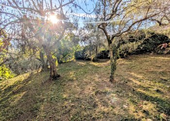 Casa indipendente via chiaia, 29, Pesche - foto 33