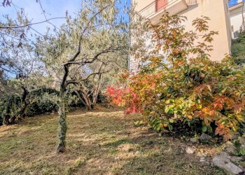 Casa indipendente via chiaia, 29, Pesche - foto 34