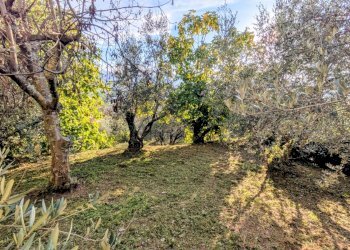 Casa indipendente via chiaia, 29, Pesche - foto 39