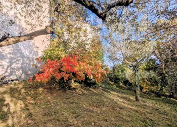 Casa indipendente via chiaia, 29, Pesche - foto 40