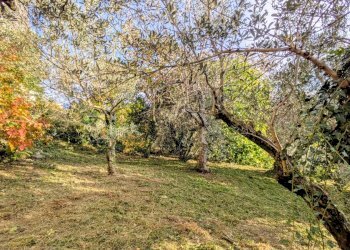 Casa indipendente via chiaia, 29, Pesche - foto 41