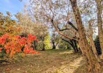 Casa indipendente via chiaia, 29, Pesche - foto 43