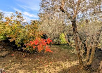 Casa indipendente via chiaia, 29, Pesche - foto 44