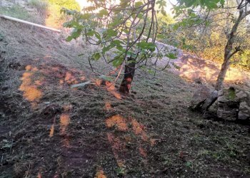 Casa indipendente via chiaia, 29, Pesche - foto 46