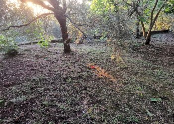 Casa indipendente via chiaia, 29, Pesche - foto 47