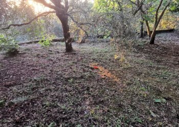 Casa indipendente via chiaia, 29, Pesche - foto 48